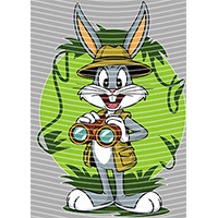 Cartoons and other-CO 2431